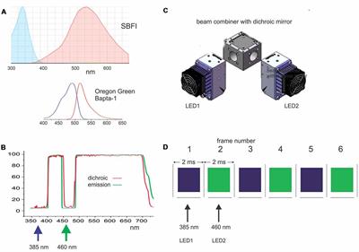 Improvements in Simultaneous Sodium and Calcium Imaging